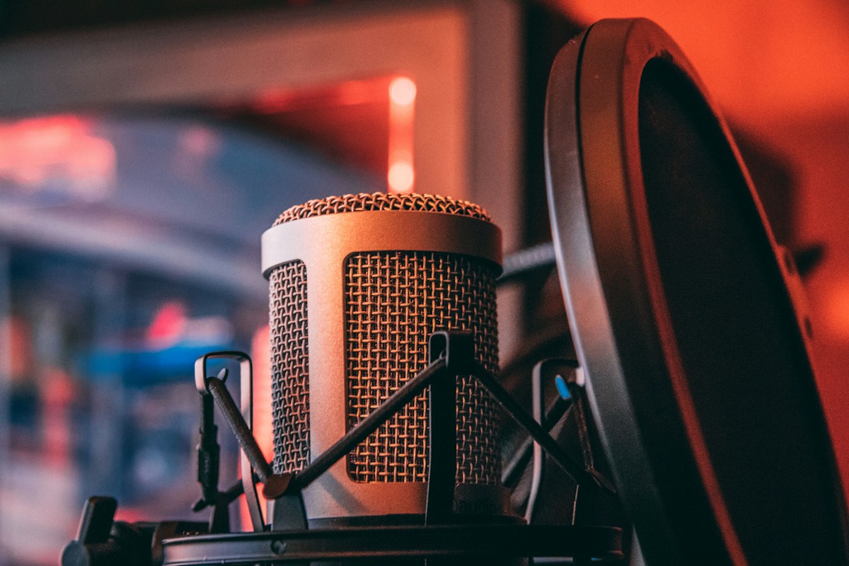 Microphone Pop Filter (1 pc)